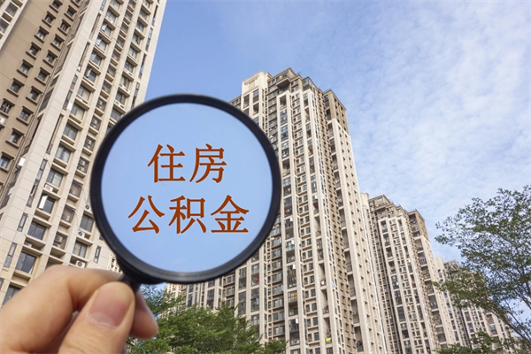 阳谷离职公积金离职如何取（住房公积金离职怎么提取钱）